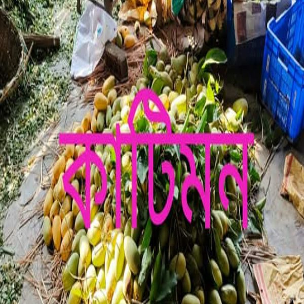Mango