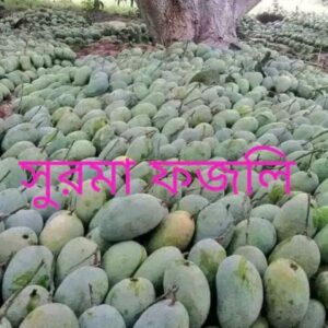 সুরমা ফজলি বা ফজলি