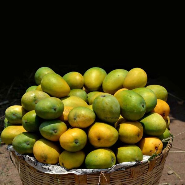 হিমসাগর - Image 3