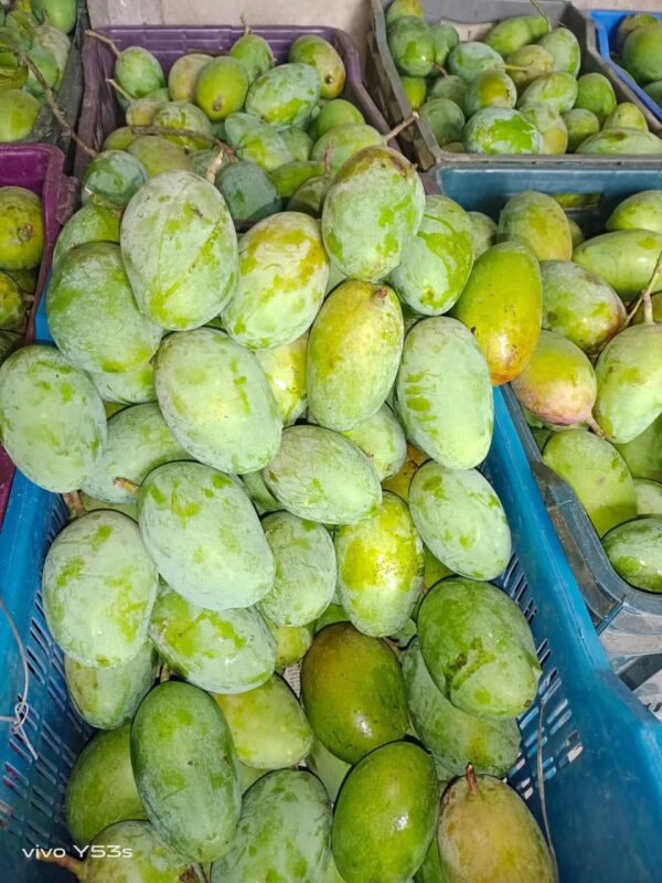 হিমসাগর - Image 6